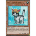 Chat Sauveteur (V1) (UR) [RA02]