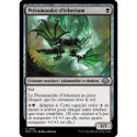 (Foil) Noire - Ptéramandre d'étherium (U) [MH3]