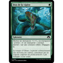 (Foil) Verte - Don de la vipère (C) [MH3]