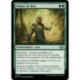 (Foil) Verte - Ombre de lion (U) [MH3]