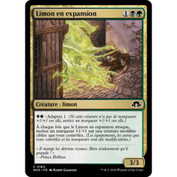 (Foil) Multicolore - Limon en expansion (C) [MH3]