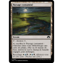 (Foil) Terrain - Paysage contaminé (C) [MH3]