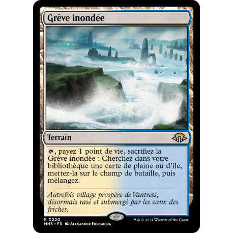 (Foil) Terrain - Grève inondée (R) [MH3]