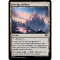 (Foil) Terrain - Paysage périlleux (C) [MH3]