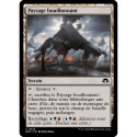 (Foil) Terrain - Paysage bouillonnant (C) [MH3]