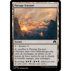 (Foil) Terrain - Paysage fracassé (C) [MH3]