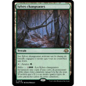 (Foil) Terrain - Sylves changeantes (R) [MH3]