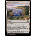 (Foil) Terrain - Paysage tranquille (C) [MH3]