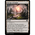 (Foil) Terrain - Paysage corrompu (C) [MH3]