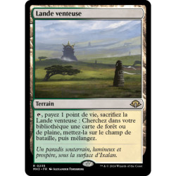 (Foil) Terrain - Lande venteuse (R) [MH3]