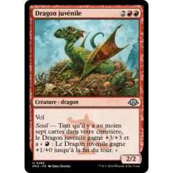 (Foil) Rouge - Dragon juvénile (U) [MH3]