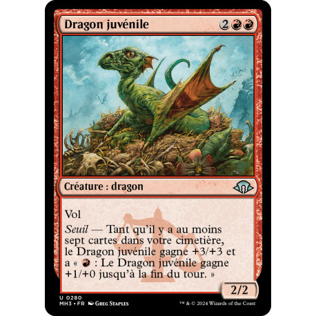 (Foil) Rouge - Dragon juvénile (U) [MH3]