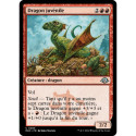 (Foil) Rouge - Dragon juvénile (U) [MH3]