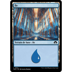 (Foil) Terrain - Île (V1) (L) [MH3]