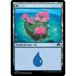 (Foil) Terrain - Ile (V2) (L) [MH3]