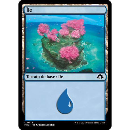 (Foil) Terrain - Ile (V2) (L) [MH3]