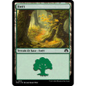 (Foil) Terrain - Forêt (V1) (L) [MH3]