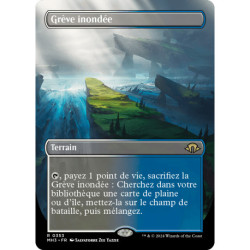 (Foil) Terrain - (BL) Grève inondée (R) [MH3]