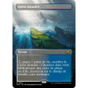 (Foil) Terrain - (BL) Grève inondée (R) [MH3]