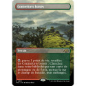 (Foil) Terrain - (BL) Contreforts boisés (R) [MH3]