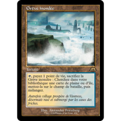 (Foil) Terrain - (OF) Grève inondée (R) [MH3]