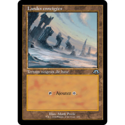 (Foil) Terrain - (OF) Landes enneigées (U) [MH3]