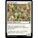 Blanche - Aîné du terrier (C) [BLB]