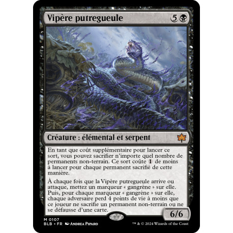 Noire - Vipère putregueule (M) [BLB]