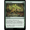 Verte - Surprotéger (U) [BLB]