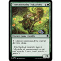 Verte - Tisseracines des Trois arbres (C) [BLB]