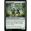 Verte - Duo sylvegarde (C) [BLB]