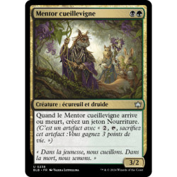 Multicolore - Mentor cueillevigne (U) [BLB]