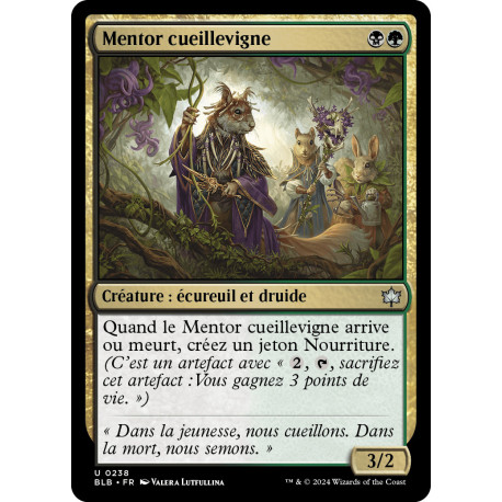 Multicolore - Mentor cueillevigne (U) [BLB]