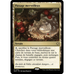 Terrain - Passage merveilleux (R) [BLB]