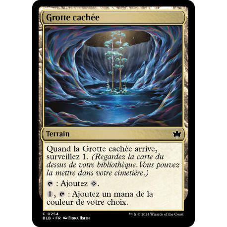 Terrain - Grotte cachée (C) [BLB]