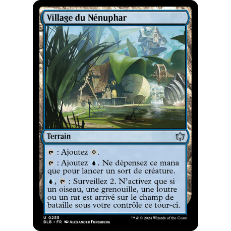 Terrain - Village du Nénuphar (U) [BLB]