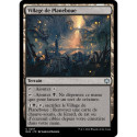 Terrain - Village de Planeboue (U) [BLB]