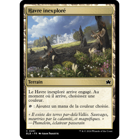 Terrain - Havre inexploré (C) [BLB]