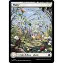 Terrain - Plaine (été) (L) [BLB]