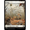 Terrain - Plaine (automne) (L) [BLB]