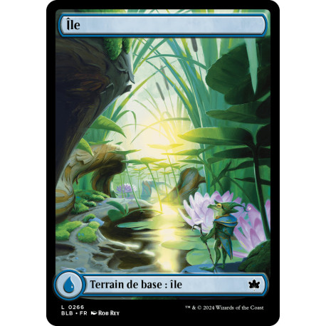 Terrain - Île (printemps) (L) [BLB]