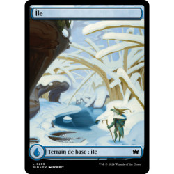 Terrain - Île (hiver) (L) [BLB]