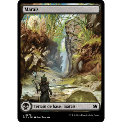 Terrain - Marais (printemps) (L) [BLB]