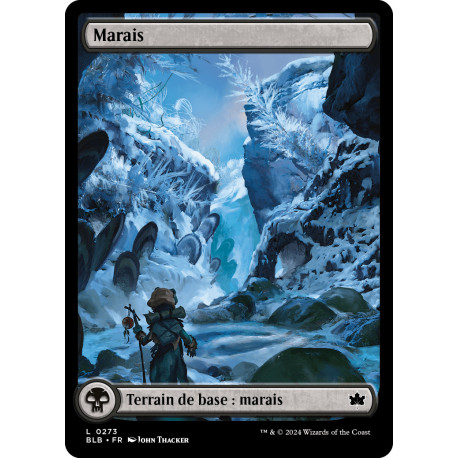 Terrain - Marais (hiver) (L) [BLB]