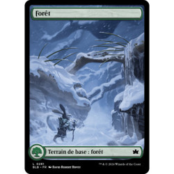 Terrain - Forêt (hiver) (L) [BLB]