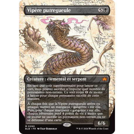 Noire - (BL) Vipère putregueule (M) [BLB]