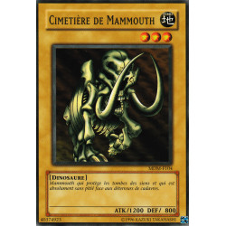 Cimetière de Mammouth (C)