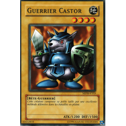 Guerrier Castor (C)