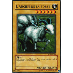 L'Ancien de la Forêt (C)