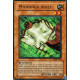 Momonga Agile (R)